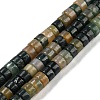 Natural Indian Agate Beads Strands G-L528-05A-1