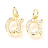 Brass Micro Pave Cubic Zirconia Charms ZIRC-O037-17G-1