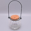 Empty Glass Wishing Bottle LS-GLAA-WH0028-10-1