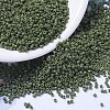 MIYUKI Delica Beads X-SEED-J020-DB1135-1