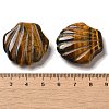 Natural Tiger Eye Carved Healing Shell Figurines G-K353-03D-3