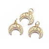 Brass Micro Pave Cubic Zirconia Pendants ZIRC-G163-13G-1