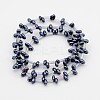 2 Hole Electroplate Glass Oval Bead Strands EGLA-J074-FP02-2