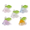 50Pcs 5 Colors Glass Flower of Life Charms PALLOY-JF02301-02-S-1