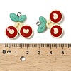 Resin Pendants RESI-I343-04A-3