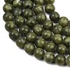 Olive Z0NCT015-6