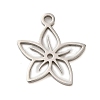 Non-Tarnish 304 Stainless Steel Charms LS-STAS-S123-01P-09-1