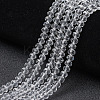 Glass Beads Strands EGLA-A044-T4mm-D19-1