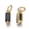 Brass Micro Pave Cubic Zirconia Charms ZIRC-F111-03G-04-2