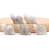 Natural Agate Carved Healing Snail Figurines PW-WG73310-08-1