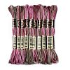 10 Skeins 6-Ply Polyester Embroidery Floss OCOR-K006-A77-1