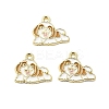 Zinc Alloy Enamel Pendants FIND-Z080-01G-03-1