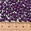 Picasso Baking Paint Glass Seed Beads SEED-A032-02A-19-4