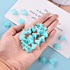Transparent Acrylic Beads PLF018-13-6