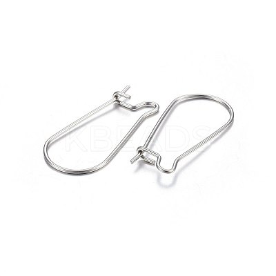 316L Stainless Steel Hoop Earrings LS-X-STAS-P210-28P-1
