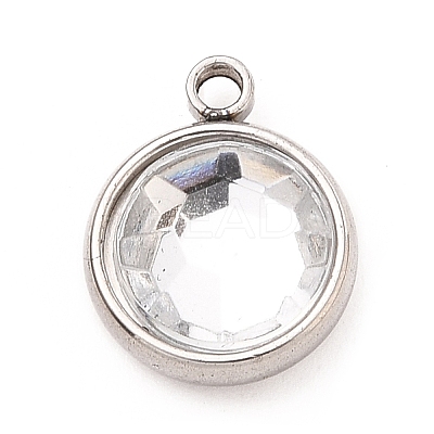 304 Stainless Steel Charms LS-STAS-I165-04A-P-09-1