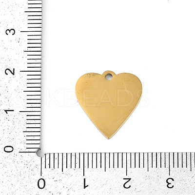 304 Stainless Steel Charms STAS-I325-136I-G-1