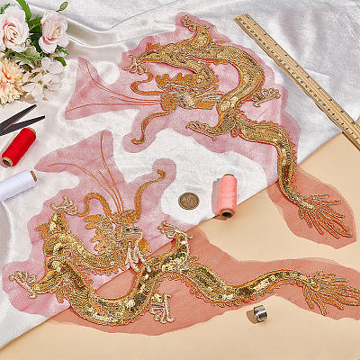2Pcs 2 Styles Dragon Shape Polyester Embroidery Sew on Flower Appliques PATC-MA0001-36-1