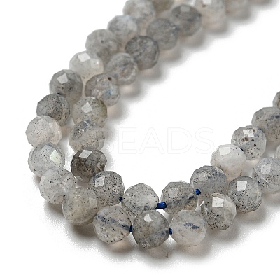 Faceted Round Natural Labradorite Bead Strands LS-G-I156-03-4mm-1