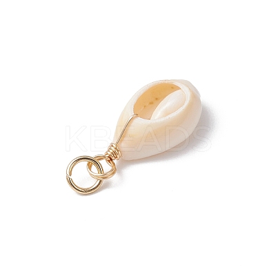 Natural Cowrie Shell Pendants PALLOY-JF03712-01-1