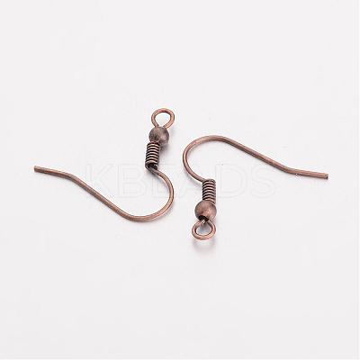 Brass Earring Hooks EC135Y-NFR-1