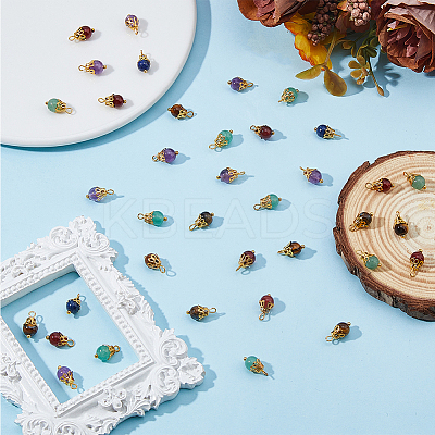 120Pcs Natural Mixed Gemstone Round Charms G-HS0001-06-1