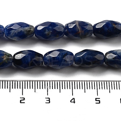 Natural Sodalite Beads Strands G-P520-C07-01-1