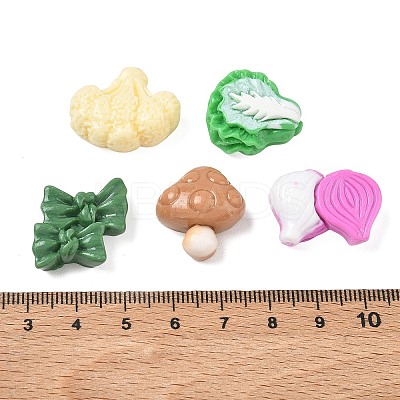 Opaque Resin Imitation Vegetable Cabochons RE-CBAE4BE-01-1