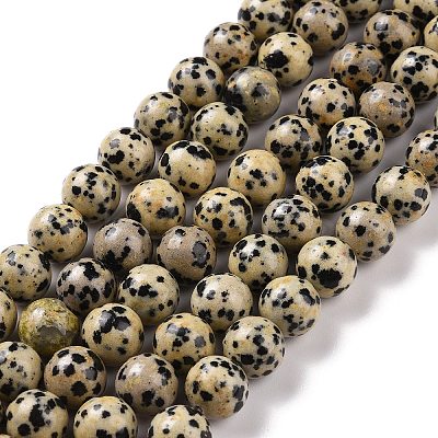 Natural Dalmatian Jasper Beads Strands G-Q462-10mm-30-1
