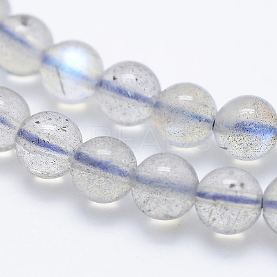 Natural Labradorite Beads Strands G-J373-14-5mm-1