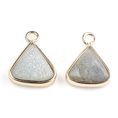 Natural Labradorite Pendants G-S344-10C-1