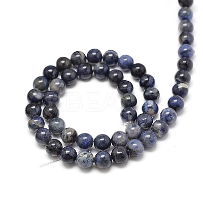 Natural Sodalite Round Beads Strands G-P075-07-6mm-1