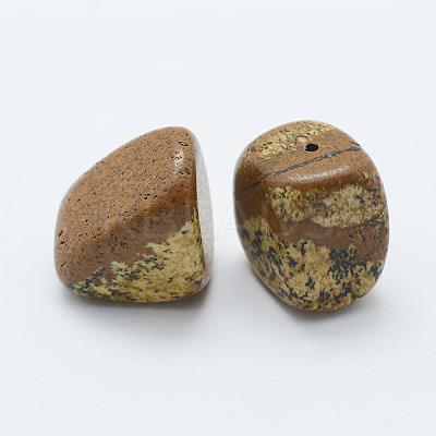 Natural Picture Jasper Beads G-H1462-07-1