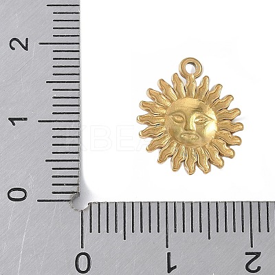 304 Stainless Steel Charms STAS-E548-06G-1