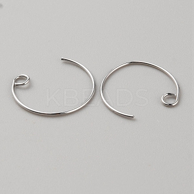 Brass Earring Hooks KK-WH0044-141C-P-1