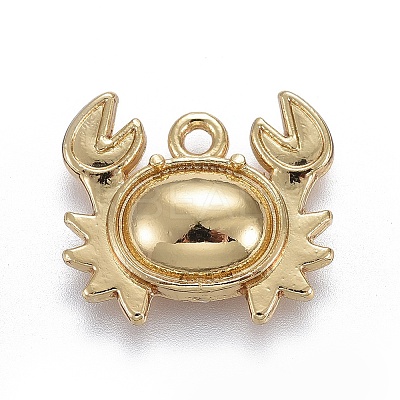 Alloy Pendants TIBEP-A040-040G-NR-1
