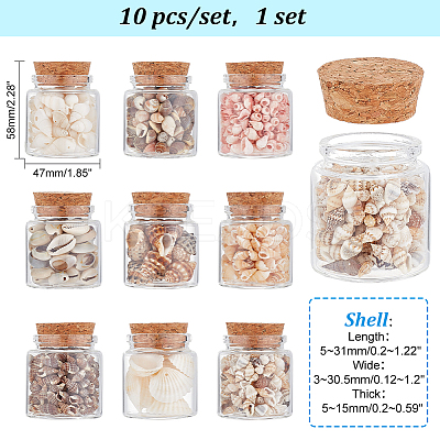 10Pcs Natural Sea Shell Conch Bead & Transparent Glass Bottle Display Decorations AJEW-AB00075-1