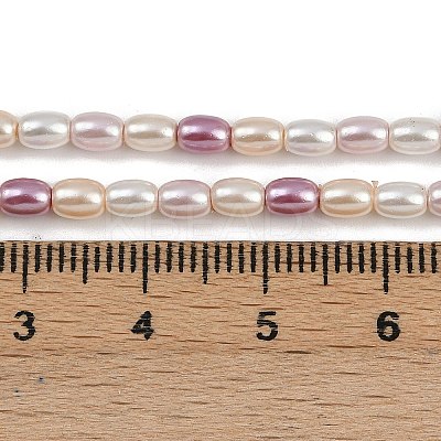 Electroplated Shell Pearl Beads Strands BSHE-H113-06B-01-1