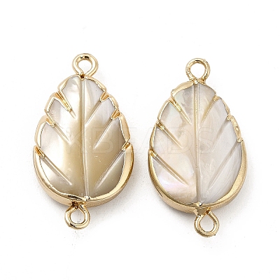 Shell Pearl Connector Charms PEAR-P004-66KCG-1