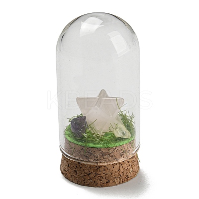 Natural Rose Quartz Polygon Display Decoration with Glass Dome Cloche Cover DJEW-B009-05F-1