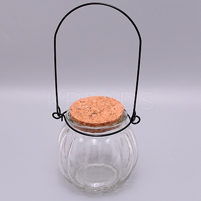 Empty Glass Wishing Bottle LS-GLAA-WH0028-10-1