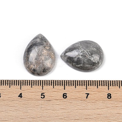 Natural Map Stone Cabochons G-H094-01A-34-1