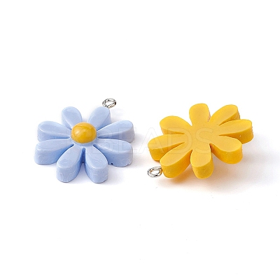 10Pcs 5 Colors Resin Pendants CRES-YW0001-11-1