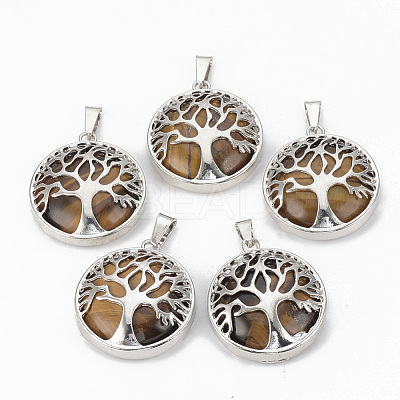 Natural Tiger Eye Pendants G-S292-10E-P-1