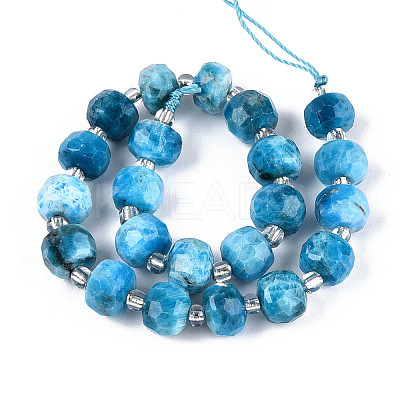 Natural Apatite Beads Strands G-N327-08A-07-1