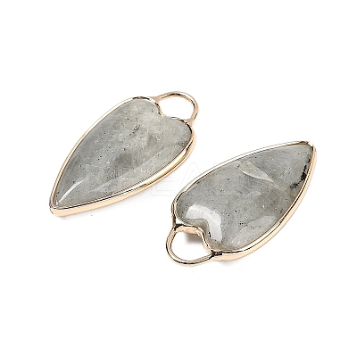 Natural Labradorite Pendants G-G193-02G-05-1