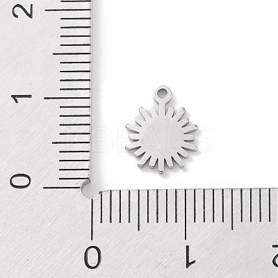 Non-Tarnish 304 Stainless Steel Charms STAS-K286-01H-P-1