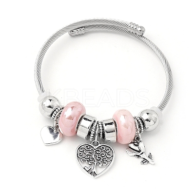 European Style Stainless Steel & Alloy Charm Bangles for Women PW-WG243C0-02-1