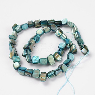 Shell Beads Strands X-PBB051Y-1