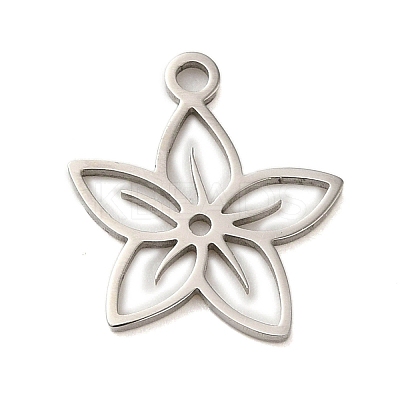 Non-Tarnish 304 Stainless Steel Charms LS-STAS-S123-01P-09-1
